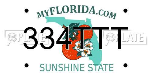 334TTT Florida License Plate
