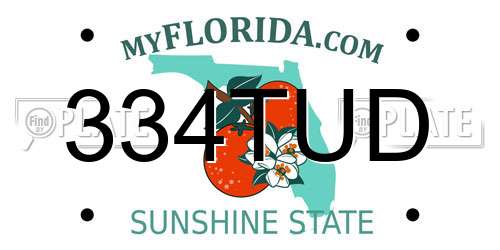 334TUD Florida License Plate