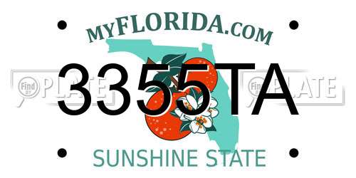 3355TA Florida License Plate