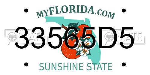 33565D5 Florida License Plate
