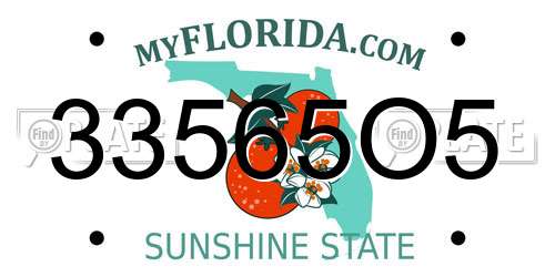 33565O5 Florida License Plate