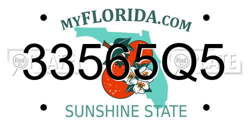 33565Q5 Florida License Plate
