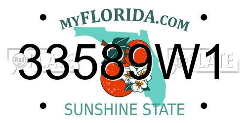 33589W1 Florida License Plate