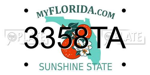 3358TA Florida License Plate