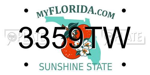 3359TW Florida License Plate