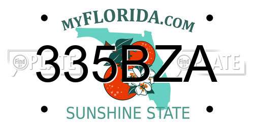 335BZA Florida License Plate