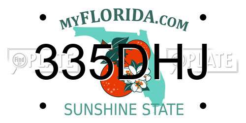335DHJ Florida License Plate