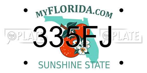 335FJ Florida License Plate