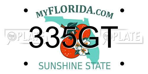 335GT Florida License Plate