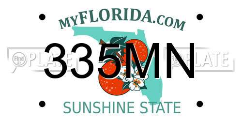 335MN Florida License Plate