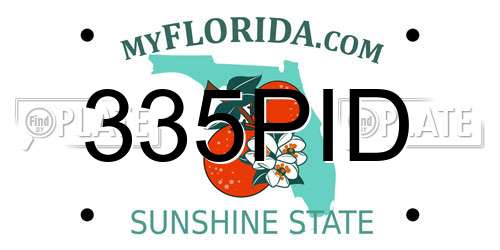 335PID Florida License Plate