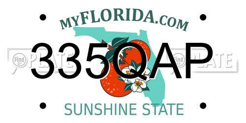 335QAP Florida License Plate