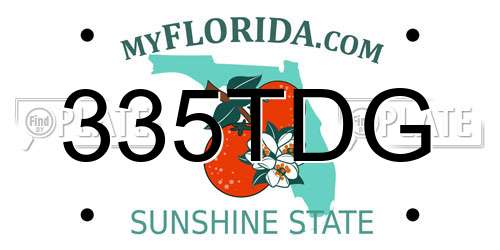 335TDG Florida License Plate