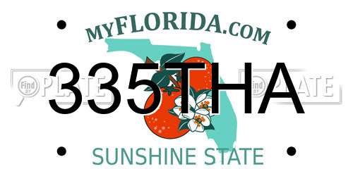 335THA Florida License Plate