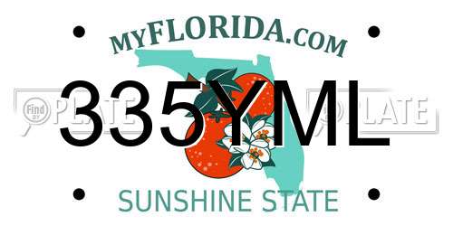 335YML Florida License Plate