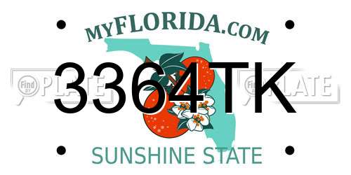 3364TK Florida License Plate