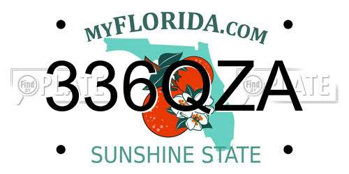 336QZA Florida License Plate