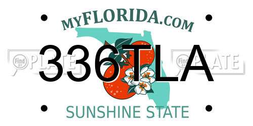 336TLA Florida License Plate