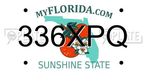 336XPQ Florida License Plate