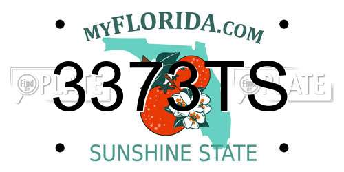3373TS Florida License Plate