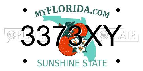 3373XY Florida License Plate