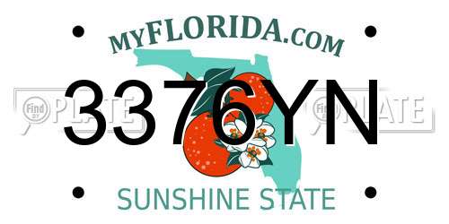 3376YN Florida License Plate