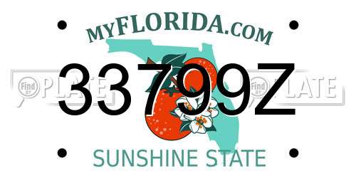 33799Z Florida License Plate