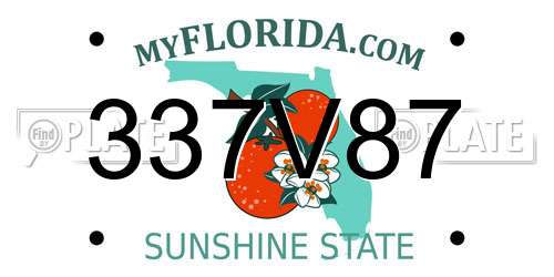 337V87 Florida License Plate