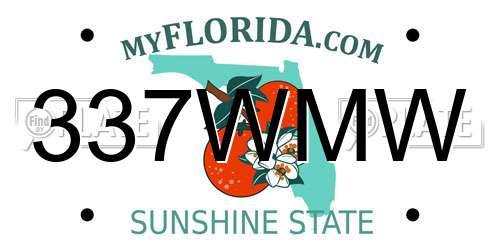 337WMW Florida License Plate
