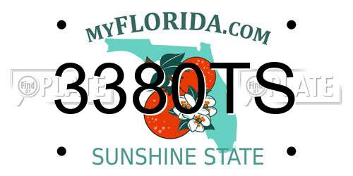 3380TS Florida License Plate