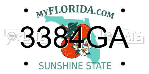 3384GA Florida License Plate