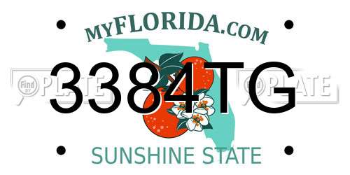 3384TG Florida License Plate