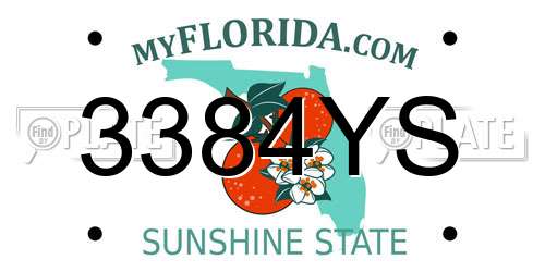3384YS Florida License Plate