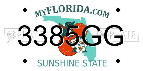 3385GG Florida License Plate