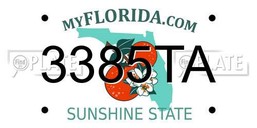 3385TA Florida License Plate