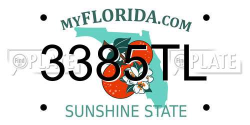 3385TL Florida License Plate