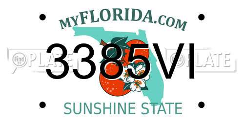 3385VI Florida License Plate