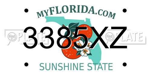 3385XZ Florida License Plate