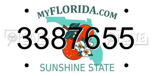 3387655 Florida License Plate