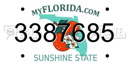 3387685 Florida License Plate