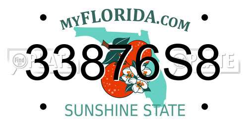 33876S8 Florida License Plate
