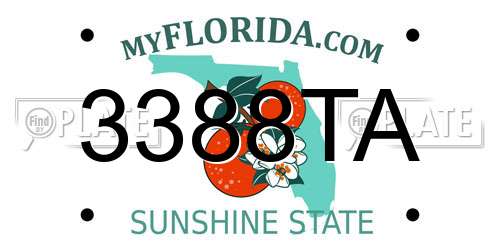 3388TA Florida License Plate