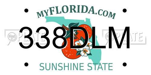 338DLM Florida License Plate