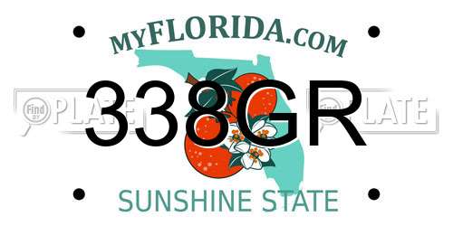 338GR Florida License Plate
