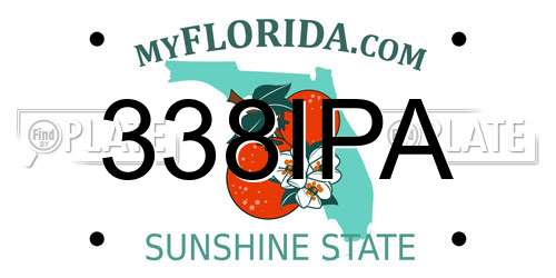338IPA Florida License Plate