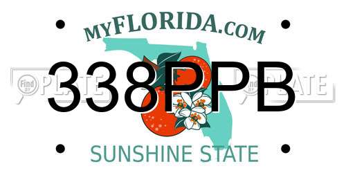 338PPB Florida License Plate