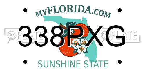 338PXG Florida License Plate