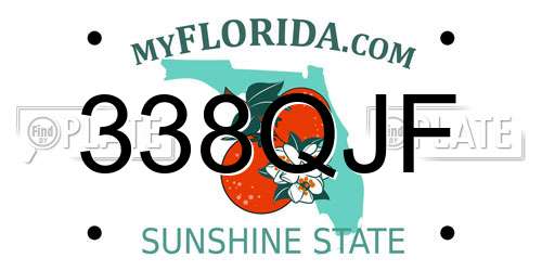 338QJF Florida License Plate