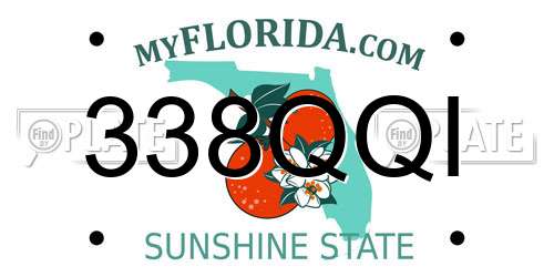 338QQI Florida License Plate
