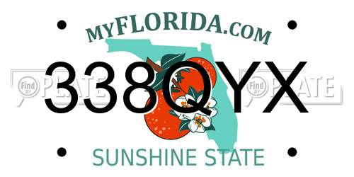 338QYX Florida License Plate
